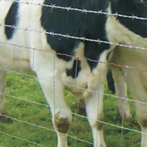 Cattle Fence