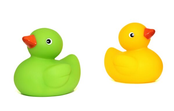 Toy-Duck