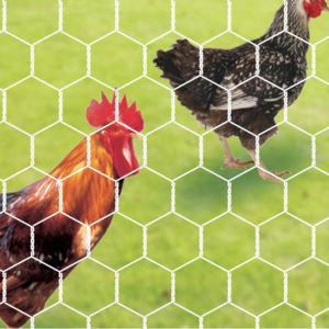 Hexagonal Wire Mesh
