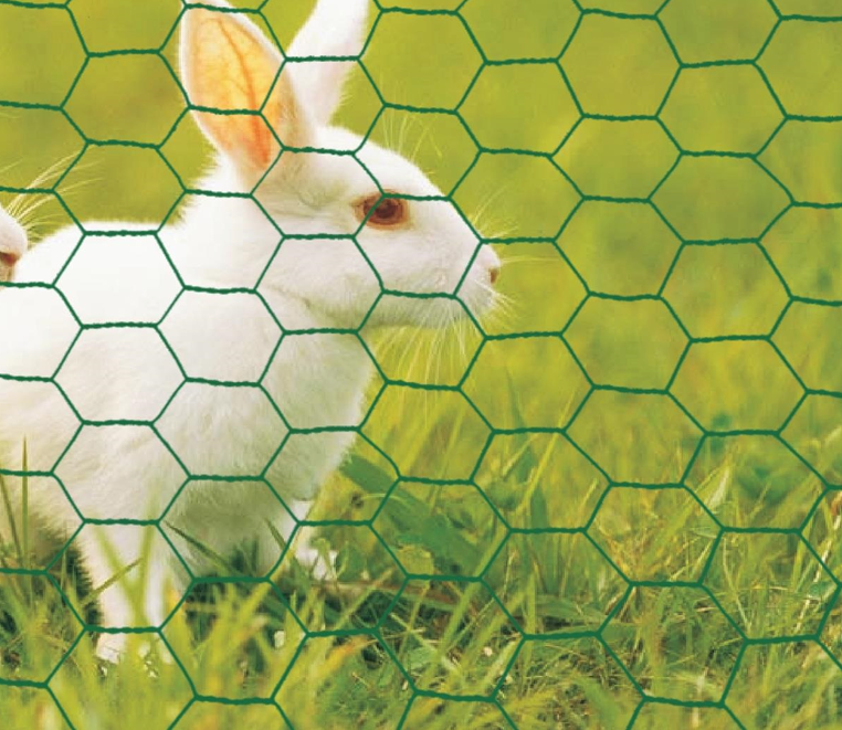 PVC Coated Hexagonal Mesh